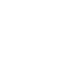 Pizza Plus Newton Aycliffe logo.